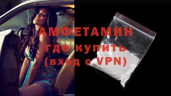 ГАЛЛЮЦИНОГЕННЫЕ ГРИБЫ Дмитриев
