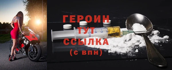 ГАЛЛЮЦИНОГЕННЫЕ ГРИБЫ Дмитриев