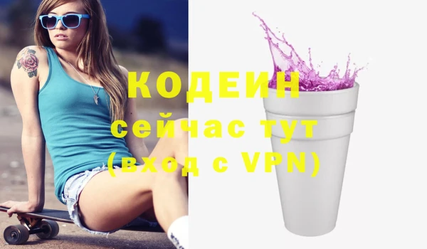 ГАЛЛЮЦИНОГЕННЫЕ ГРИБЫ Дмитриев