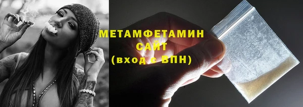 ГАЛЛЮЦИНОГЕННЫЕ ГРИБЫ Дмитриев