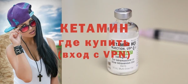 ГАЛЛЮЦИНОГЕННЫЕ ГРИБЫ Дмитриев