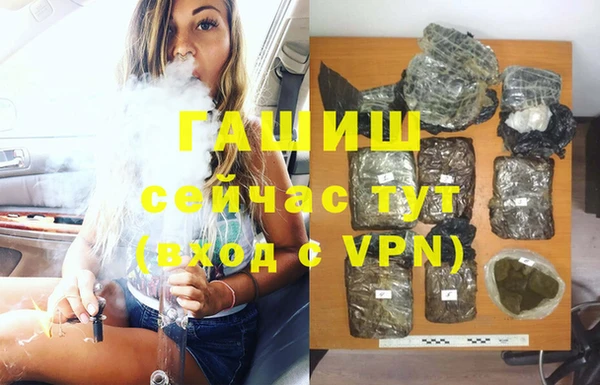 ГАЛЛЮЦИНОГЕННЫЕ ГРИБЫ Дмитриев