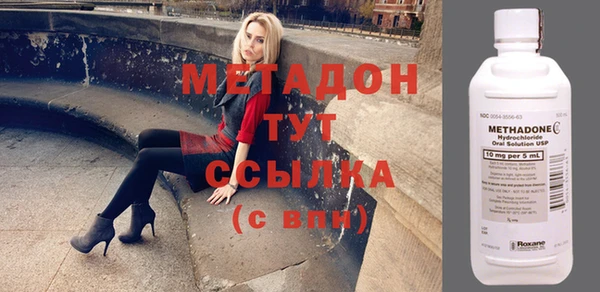 ГАЛЛЮЦИНОГЕННЫЕ ГРИБЫ Дмитриев