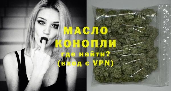 ГАЛЛЮЦИНОГЕННЫЕ ГРИБЫ Дмитриев
