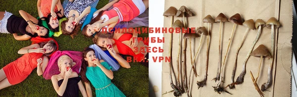 а пвп мука Дмитров
