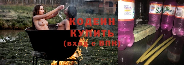 ГАЛЛЮЦИНОГЕННЫЕ ГРИБЫ Дмитриев